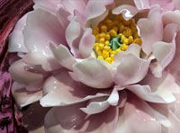 新聞｜我公司當(dāng)選河南省人民對(duì)外友好協(xié)會(huì)理事單位，創(chuàng)始人李治國(guó)當(dāng)選理事并接受河南日?qǐng)?bào)與河南衛(wèi)視的采訪(fǎng)。